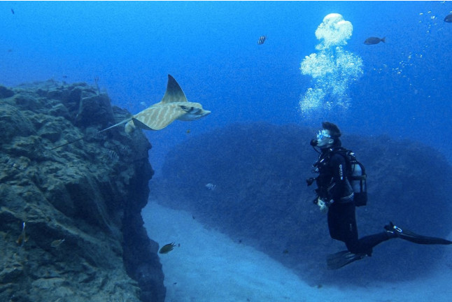 Bautismo de Buceo desde la Playa (Los Cristianos, Tenerife)