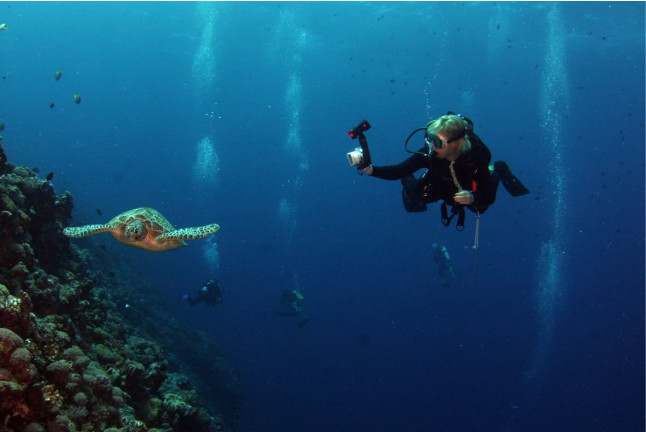 Bautismo de Buceo desde la Playa (Los Cristianos, Tenerife)