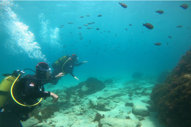 Bautizo de Buceo (Tarifa, Cádiz)