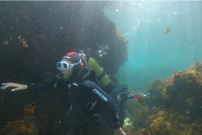 Bautizo de Buceo (Tarifa, Cádiz)