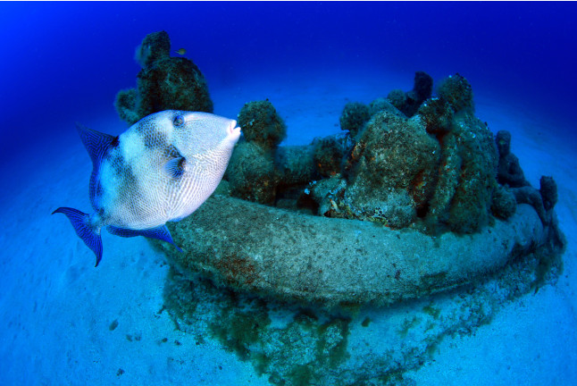 Bautizo de Buceo con Fotos y Vídeo en Puerto del Carmen (Las Palmas, Lanzarote)