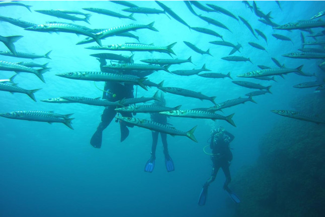 Bautizo de Buceo en la Reserva Marina de Menorca (Es Mercadal, Menorca)