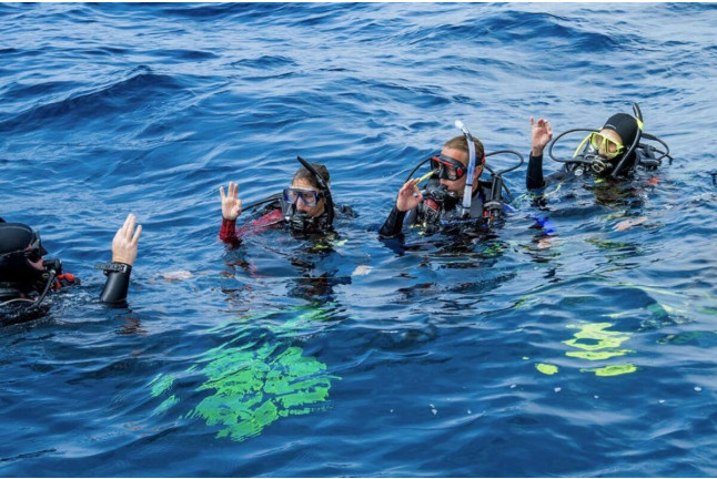 Bautizo de Buceo con Fotos (Almerimar, Almería)