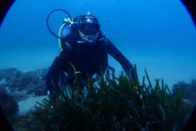 Bautizo de Buceo con Fotos (Almerimar, Almería)