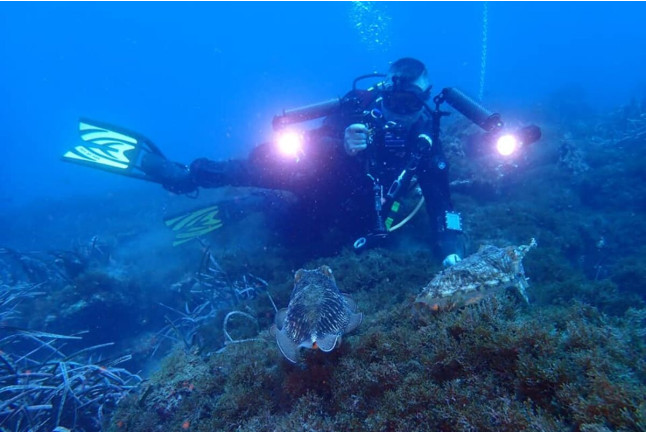 Bautizo de Buceo con Fotos (Almerimar, Almería)