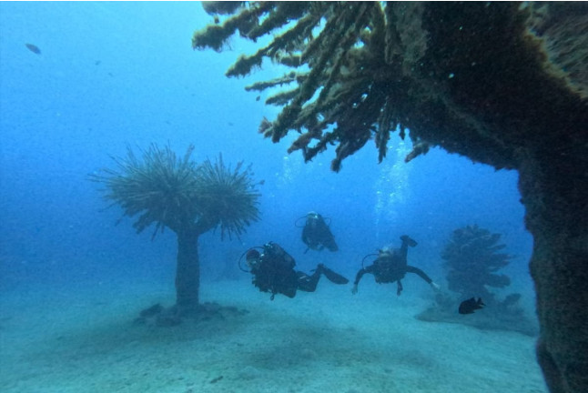 Bautizo de Buceo (Playa Blanca, Lanzarote)