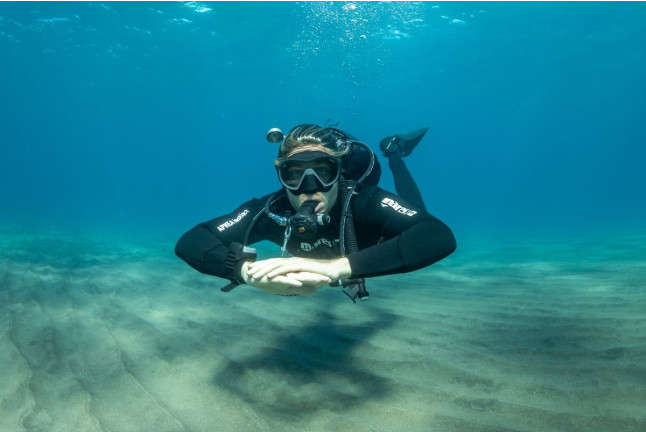 Bautizo de Buceo (Tabaiba, Santa Cruz de Tenerife)