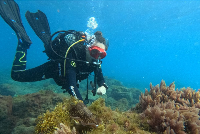 Bautizo de Buceo (Tabaiba, Santa Cruz de Tenerife)