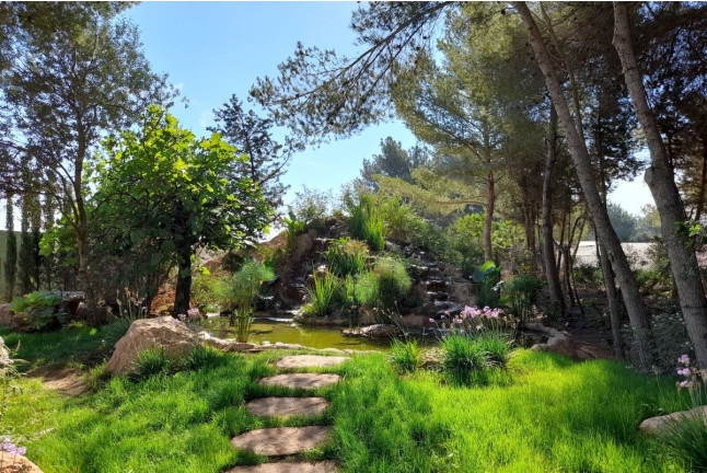 Entrada, Visita Guiada y Degustación de Aloe en Ibiza Botánico Biotecnológico - BiBo Park (San Rafael de la Cruz, Ibiza)