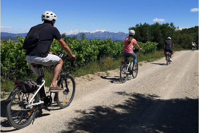 Ruta Autoguiada en Bicicleta Eléctrica por Cavas del Penedés con Degustación (Barcelona)