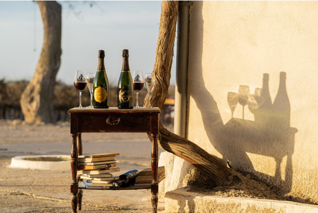 Visita a la Viña y a la Bodega con Cata de Vino para dos en Albariza de la Torre (Jerez de la Frontera, Cádiz)