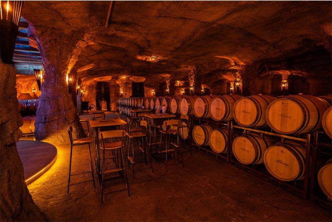 Visita a la Bodega y Almazara Aldonza Gourmet con Degustación de Cava, Vinos y Aceite AOVE para dos (Munera, Albacete)