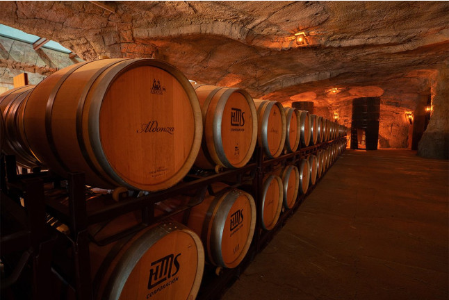 Visita a la Bodega y Almazara Aldonza Gourmet con Degustación de Cava, Vinos y Aceite AOVE para dos (Munera, Albacete)