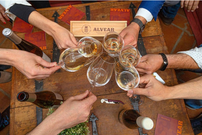 Visita Guiada a la Bodega Alvear con Cata de 3 Vinos (Montilla, Córdoba)