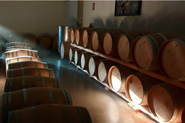 Visita a Bodega Territorio Luthier con Degustación y Aperitivo para dos (Aranda de Duero, Burgos)