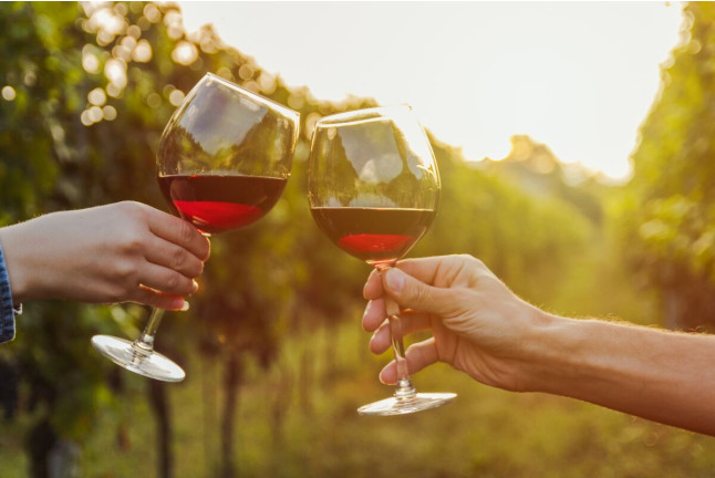 Visita a Bodega Territorio Luthier con Degustación y Aperitivo para dos (Aranda de Duero, Burgos)