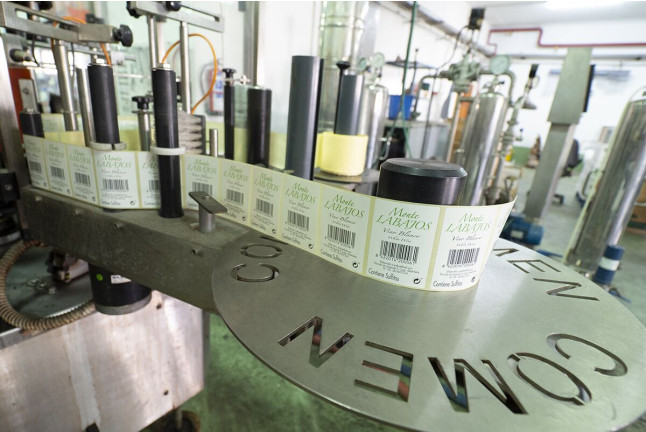 Escapada en Sercotel AB Arganda con Desayuno y Visita a Bodega Vinícola de Arganda con Degustación de Vinos (Madrid)