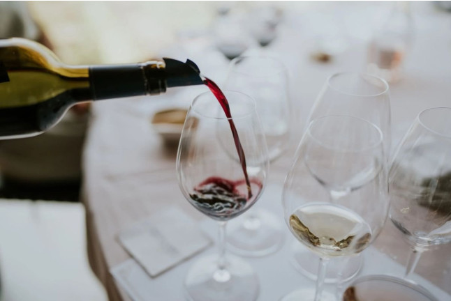 Paseo por Viñedos en 4x4 y Visita a Bodega Arínzano con Cata de Gama Completa de Vinos y Aperitivo (Navarra)