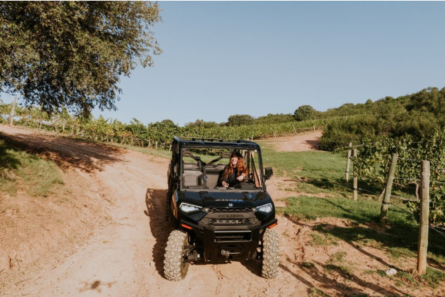 Paseo por Viñedos en 4x4 y Visita a Bodega Arínzano con Cata de Gama Completa de Vinos y Aperitivo (Navarra)