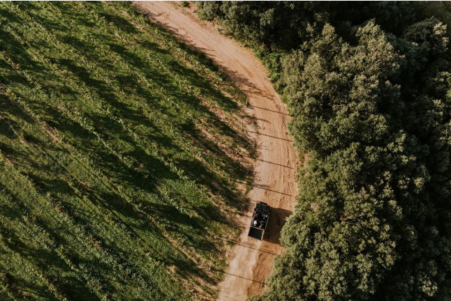 Paseo por Viñedos en 4x4 y Visita a Bodega Arínzano con Cata de Gama Completa de Vinos y Aperitivo (Navarra)