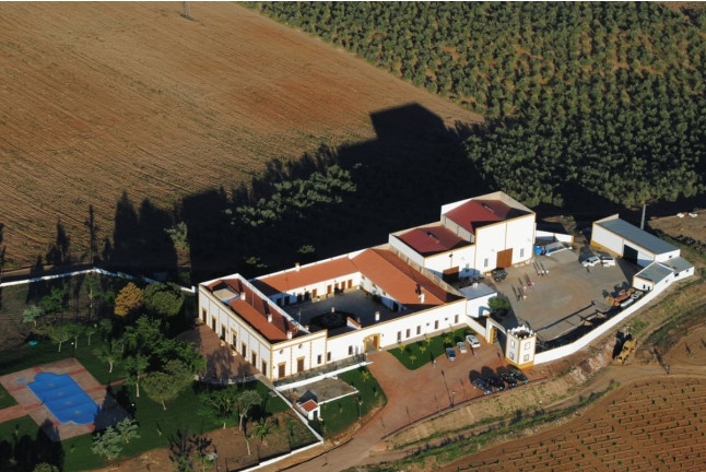 Escapada con Cena en Hotel Bodega El Moral 4* y Visita a Bodega Las Encomiendas y Cata para dos (Ribera del Fresno, Badajoz)