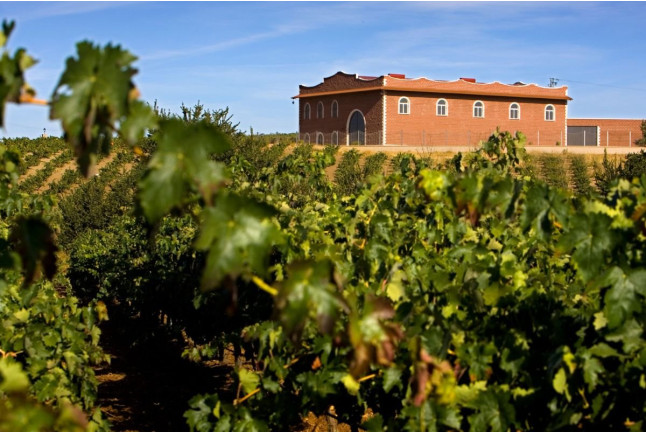 Escapada con Cena en Hotel Bodega El Moral 4* y Visita a Bodega Las Encomiendas y Cata para dos (Ribera del Fresno, Badajoz)
