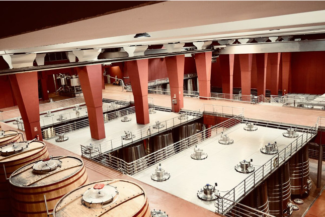 Visita a Bodega Sommos con Cata de 3 Vinos y Maridaje de Ibéricos (Barbastro, Huesca)