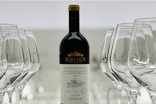 Visita a Bodega Sommos con Cata de 3 Vinos y Maridaje de Ibéricos (Barbastro, Huesca)