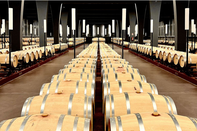 Visita a Bodega Sommos con Cata de 3 Vinos y Maridaje de Ibéricos (Barbastro, Huesca)