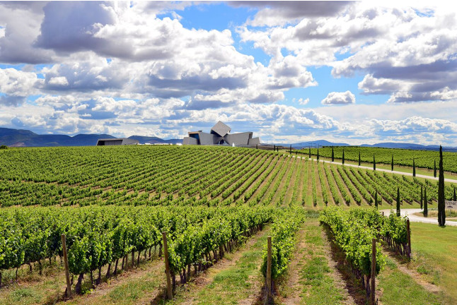 Visita a Bodega Sommos con Cata de 3 Vinos y Maridaje de Ibéricos (Barbastro, Huesca)