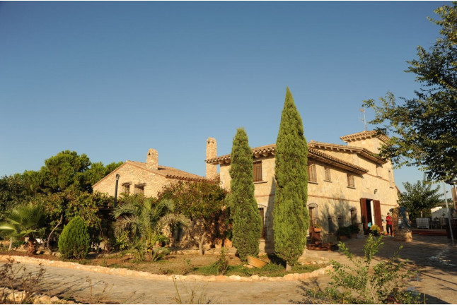 Visita a Bodega Barón d'Alba con Cata de Vinos y Comida Campestre (Useras, Castellón)