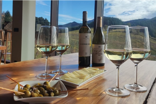 Visita Guiada con Cata de Txakolis y Degustación de Queso en Bodega Berroja (Ajuria, Vizcaya)