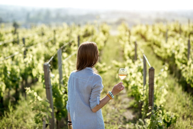 Experiencia Origen: Visita a Bodega y Cata con Aperitivo en Bosque de Matasnos (Peñaranda de Duero, Burgos)
