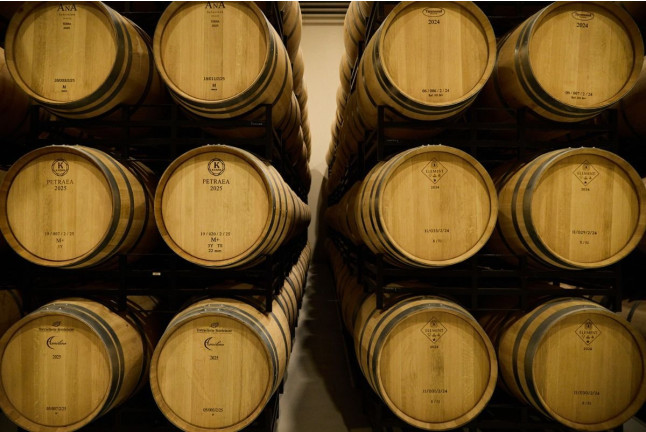 Experiencia Origen: Visita a Bodega y Cata con Aperitivo en Bosque de Matasnos (Peñaranda de Duero, Burgos)