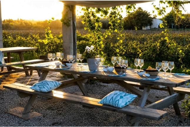 Visita a Bodega con Cata de Vinos para dos en Bodega Butxet (Muro, Mallorca)