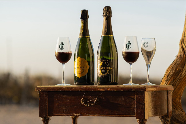Visita a la Viña y a la Bodega con Cata de Vino en Albariza de la Torre (Jerez de la Frontera, Cádiz)