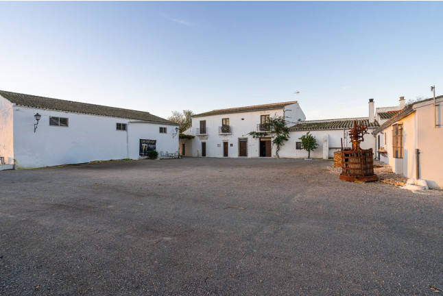 Visita a la Viña y a la Bodega con Cata de Vino en Albariza de la Torre (Jerez de la Frontera, Cádiz)