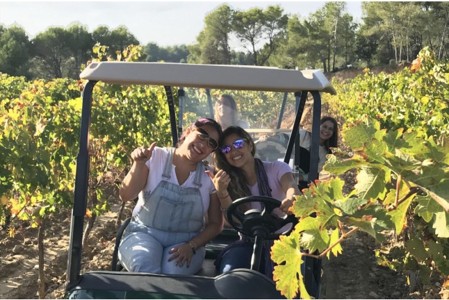 Visita a Viñedos en Buggy, Cata de Vinos y Aperitivo en Can Casals (Barcelona)