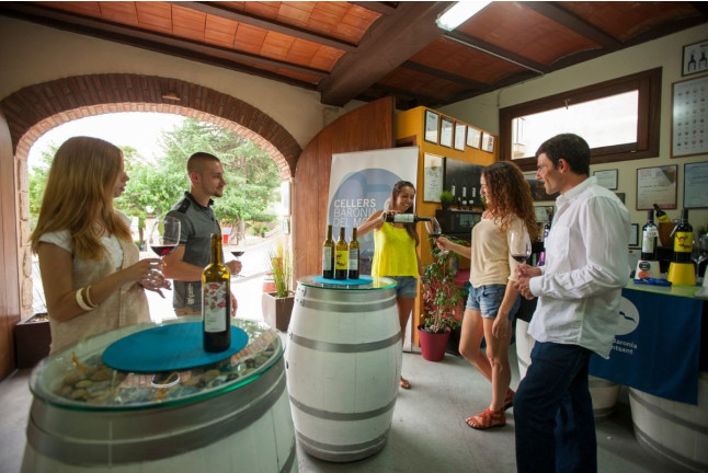 Visita a Bodega, Cata de Vinos, Aperitivo y Comida en Cellers Baronia del Montsant (Cornudella de Montsant, Tarragona)