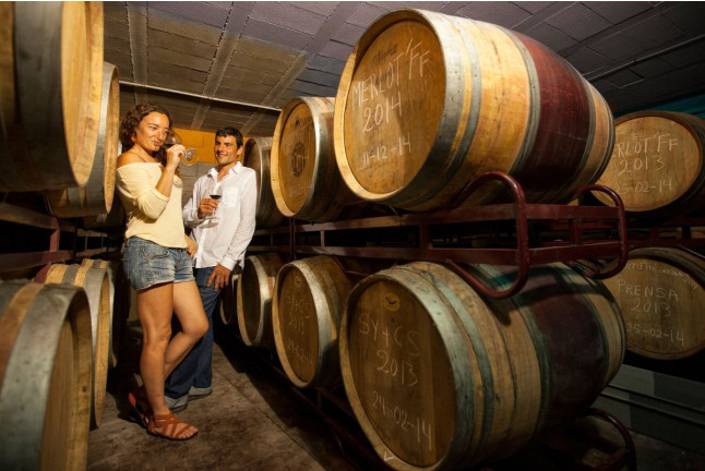 Visita a Bodega, Cata de Vinos, Aperitivo y Comida en Cellers Baronia del Montsant (Cornudella de Montsant, Tarragona)