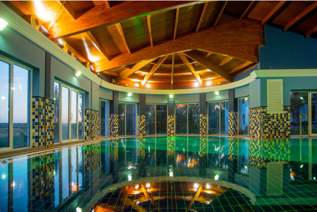 Visita a Viñedos y Bodega Valdealto con Cata de Vinos y Circuito Spa en Hotel Balneario El Raposo 4* para dos (Badajoz)