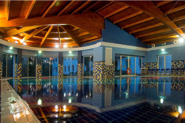 Visita a Viñedos y Bodega Valdealto con Cata de Vinos y Circuito Spa en Hotel Balneario El Raposo 4* para dos (Badajoz)