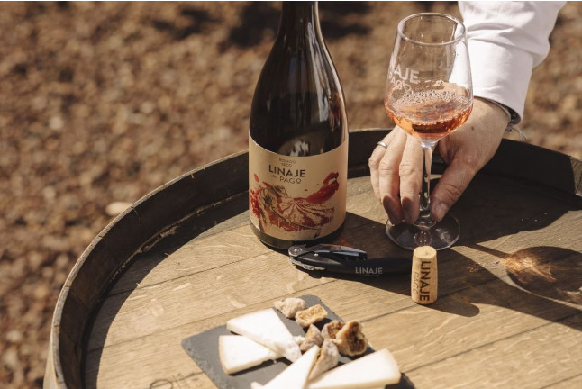 Visita Premium: Visita a la Bodega con Degustación de Vinos y Picoteo para dos en Linaje del Pago (El Sauzal, Tenerife)