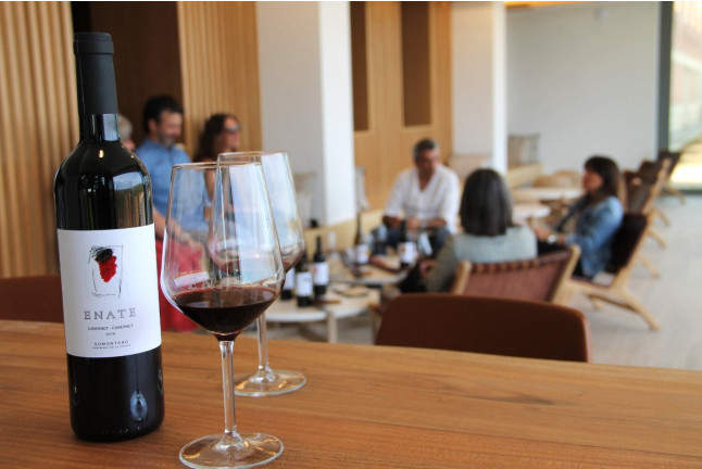 Visita Guiada a Bodega ENATE con Cata de 3 Vinos y Menú Picoteo en Wine Bar Mirador Las Artes para dos (Salas Bajas, Huesca)