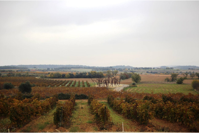 Visita Guiada a Bodega ENATE con Cata de 3 Vinos y Menú Picoteo en Wine Bar Mirador Las Artes para dos (Salas Bajas, Huesca)