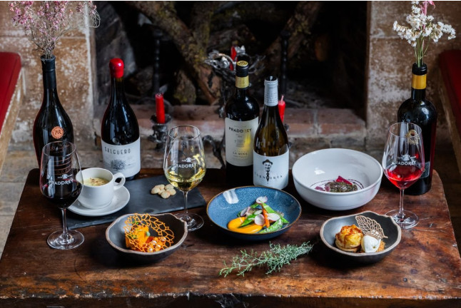 Escapada en La Posada de Pradorey con Cena, Visita a Bodega, Viñedos y Cata de Vinos de Alta Gama para dos (Gumiel de Mercado, Burgos)