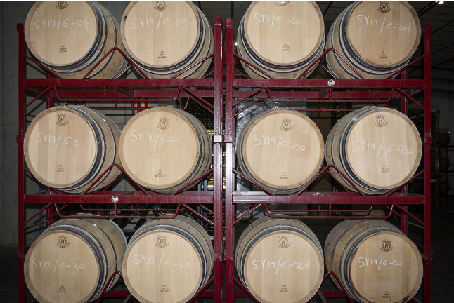 Escapada y Bodega: Noche con Cena en Hotel Cisneros 3* y Visita a Bodega Vinícola de Arganda con Degustación y Maridaje (Madrid)