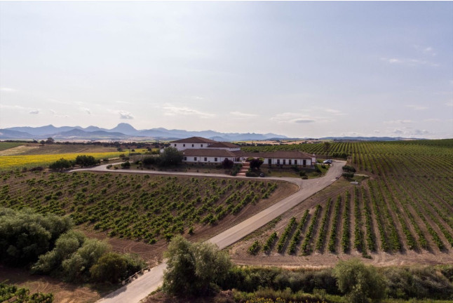 Visita a Bodega con Cata de Vinos y Opción a Menú o Maridaje para dos en Huerta de Albalá (Arcos de la Frontera, Cádiz)