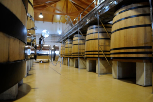 Visita a Bodega con Cata de Vinos y Opción a Menú o Maridaje para dos en Huerta de Albalá (Arcos de la Frontera, Cádiz)