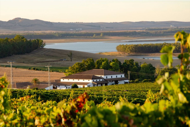 Visita a Bodega con Cata de Vinos y Opción a Menú o Maridaje para dos en Huerta de Albalá (Arcos de la Frontera, Cádiz)